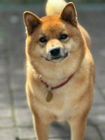 ����